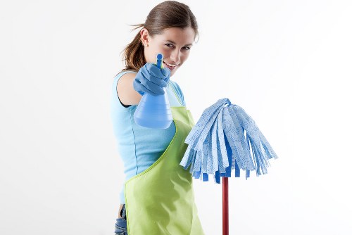 Professional carpet cleaning service in Putney apartment