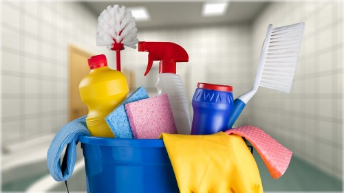 Steam carpet cleaning in Putney for a fresh living room carpet