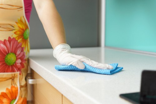 Putney carpet cleaners introducing professional carpet care and local service values