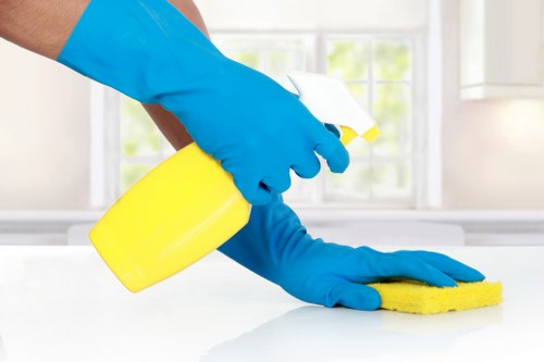 Professional mattress cleaning in Putney for a fresher bedroom