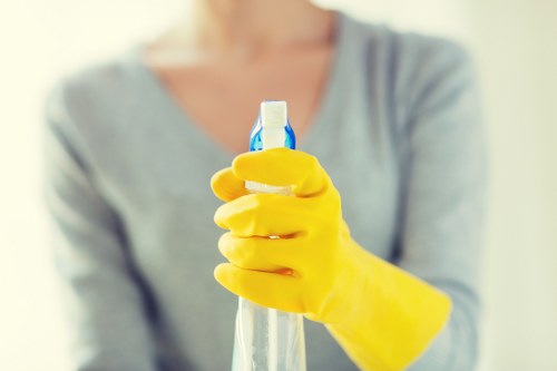 Putney carpet cleaners restoring a home carpet with professional cleaning equipment