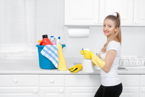 Accessibility request section for Putney Carpet Cleaners
