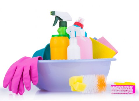 Professional carpet cleaning team preparing equipment for a booked service