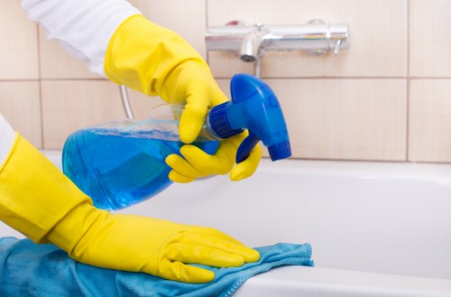 Professional steam carpet cleaning in Putney for a busy home
