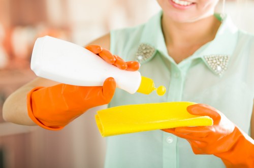Deep cleaning a sofa to remove pet odours in Putney