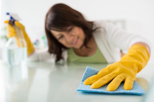 Keyboard navigation support for Putney carpet cleaners website