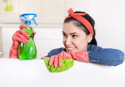 Upholstery and carpet stain removal services in Putney